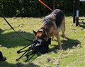 IMG_1366.JPG