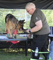 IMG_1396.JPG
