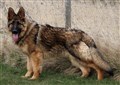 IMG_6528 - kopia.JPG