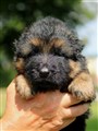 IMG_9699.JPG